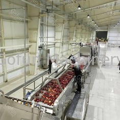 Chaîne de fabrication industrielle de jus de pomme de SS304 100T/D emballage aseptique de sacs