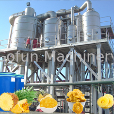 Ligne de production de jus d'ananas concentré 15T/jour SS304 automatique