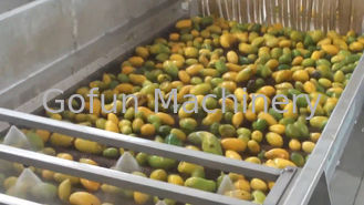 Haute efficace élevée d'installation de transformation de mangue à échelle réduite extrayant le taux