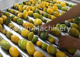 Enlèvement de pierre électrique de la machine de traitement de jus de mangue fraîche électrique 5T/H