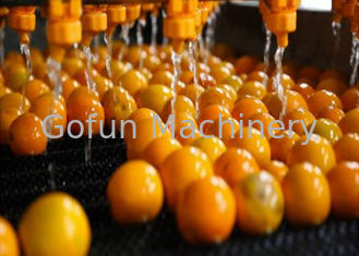Ligne de traitement des agrumes industriels Unité de traitement du citron orange Garantie 1 an