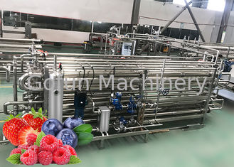 La chaîne de fabrication clés en main de Berry Paste Pulp Industrial Pasteurizer facile nettoient