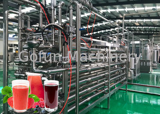 Fortement ligne chaîne de production de boisson 20T/capacité de transformation de fruits d'automation de jour