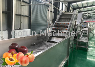 Ligne contrôle de transformation de fruits d'économie de l'eau de sécurité de concentration en jus d'abricot