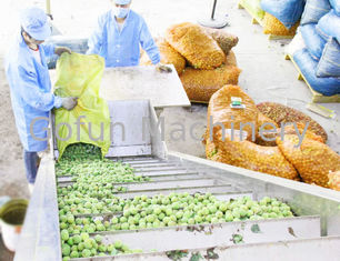 Économie de l'eau d'installation de transformation de pêche de prune d'abricot/d'installation fabrication de jus