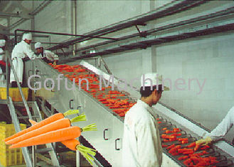 Installation de transformation de carotte/installation fabrication professionnelles de fruits et légumes