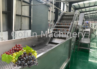 Machine à laver fraîche de raisin d'installation de fabrication de jus de fruit d'économie de l'eau favorable à l'environnement