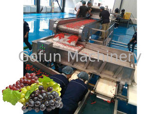 Installation de fabrication concentrée de chaîne de fabrication de jus de raisins/jus de fruit