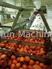 L'eau filtrant concentrant la chaîne de fabrication de tomate