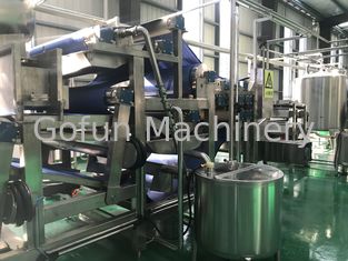 ananas Juice Processing Machine de raisin de 415V SS316
