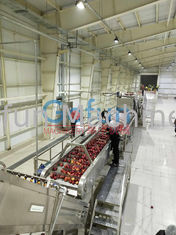 Chaîne de fabrication de 3T/H Apple pour Juice Complete Plant Preheating