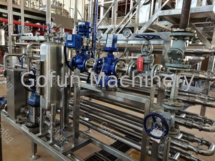 chaîne de fabrication industrielle de la mangue 500T/D service clé en main SUS304/316L