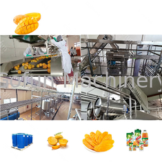 SUS304 / SS316 Ligne de production de pâte de mangue 5 t/h Appui au fonctionnement flexible